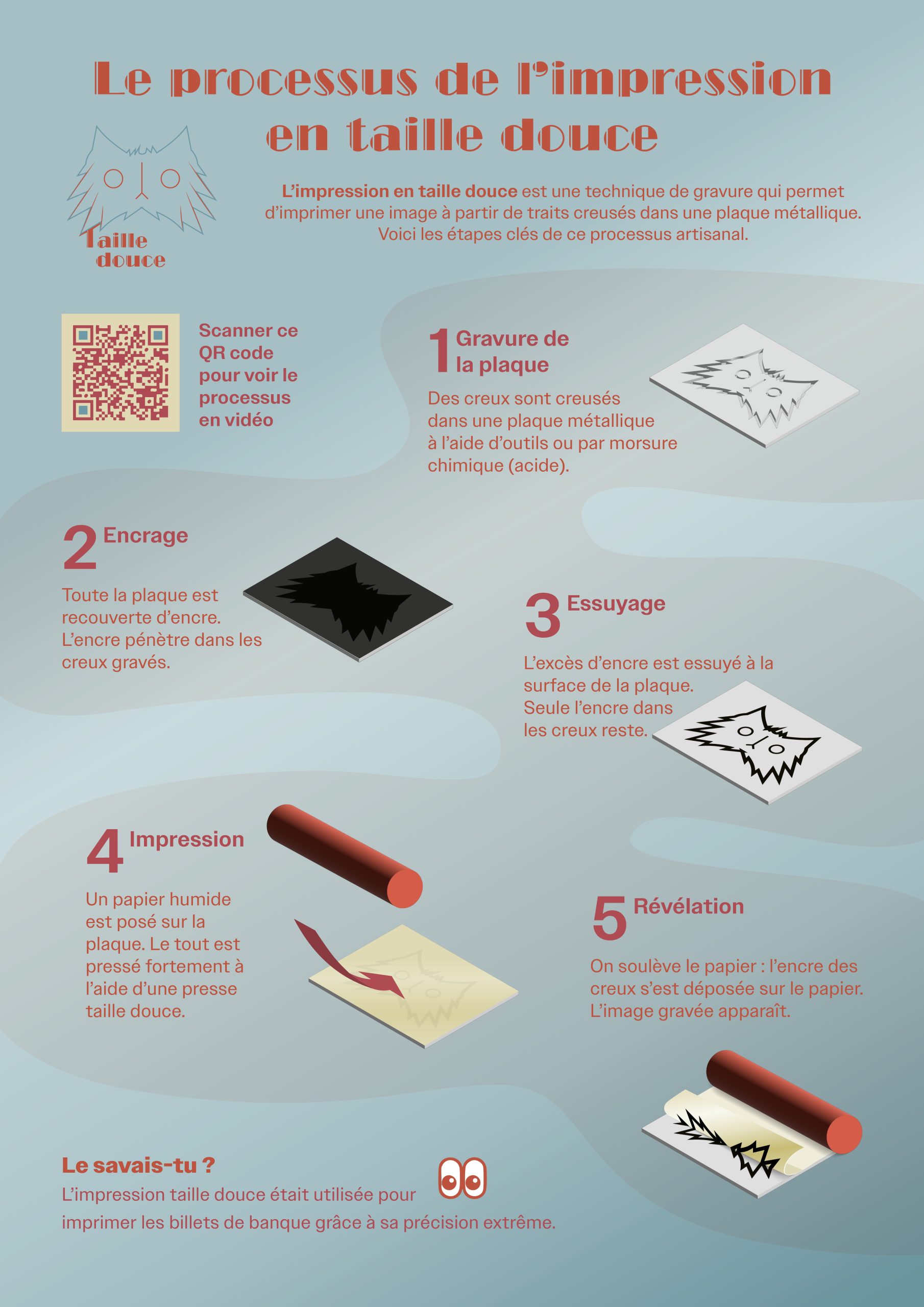 Infographie-Taille-douces